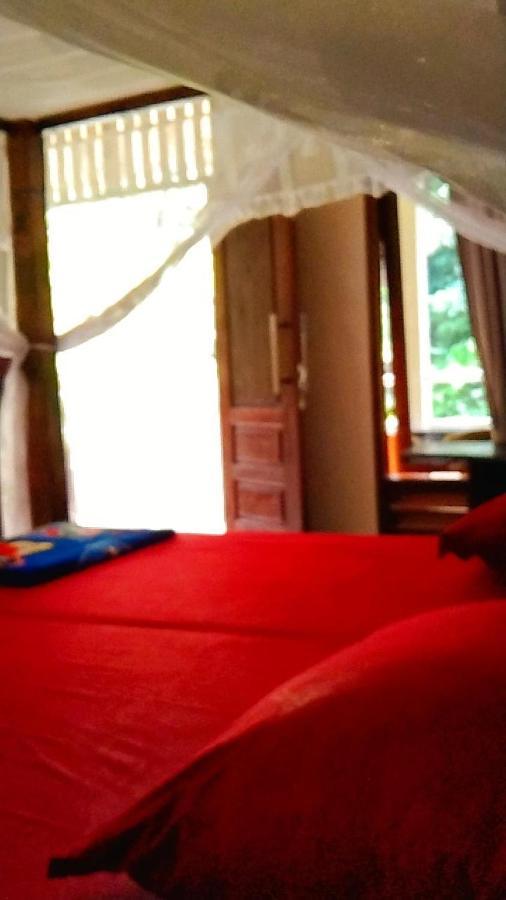 Raja Guest House - Jungle Trekking & Tours Bukit Lawang Sumatra Exterior foto